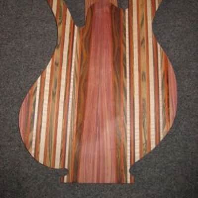 2006 Carl Thompson Rainbow 6-string Fretless Bass image 16