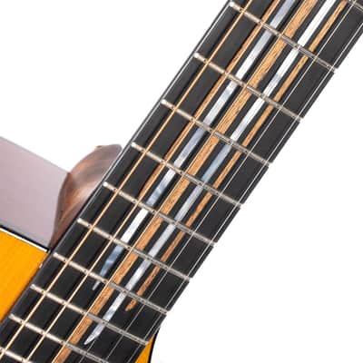 Cort LUXEII Luxe Series Frank Gambale Concert Body Mahogany Nek 6-String Acoustic-Electric Guitar w/Hard Case image 19