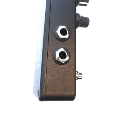 Neunaber Audio Immerse image 2