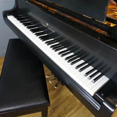 Young Chang G175 Baby Grand Piano Ebony Satin image 6