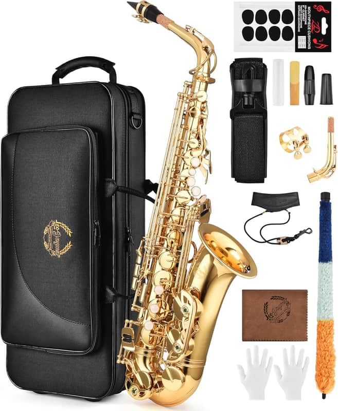 Leo Jaymz Eb Alto Saxophone - One-Piece Body or Neck Construction, H68 Brass, with Thickened Travel Bag - Gold image 1
