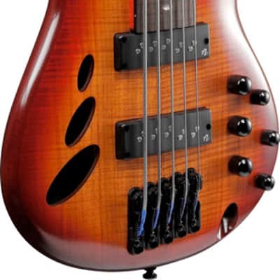 Ibanez SR Bass Workshop 5 String Electric Bass - Fretless - Brown Topaz Burst Low Gloss (SRD905FBTL) image 2