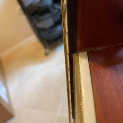 Sigma Sig 10 mini 2022 - Gold Sparkle image 18