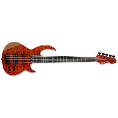 ESP LTD BB-1005QM Burnt Orange with Case image 2