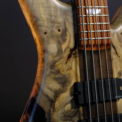 Spector (USA) NS-5 Neck-Thru 2024 - Buckeye Burl image 9