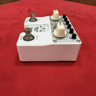 Mooer Reecho Pro – Delay/Looper image 4