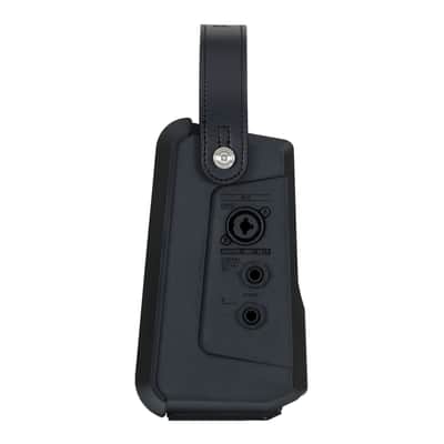 Roland CUBE Street Mini Multi-Instrument Battery Amplifier image 4