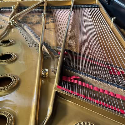 Steinway & Sons Art-Case Model C 1877 - Ebony Satin image 7