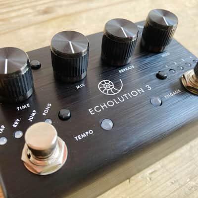 Pigtronix ECHOLUTION 3 - Multitap Digital Stereo Delay image 7