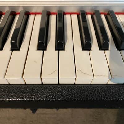 Fender Rhodes Suitcase Piano 88-Key Electric Piano Rounded Top image 7