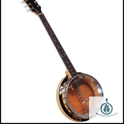 Gold Tone GT-750 Banjitar Deluxe w/case image 1