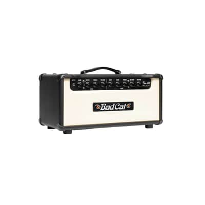 Bad Cat Era 30 Mark Sampson's 30-watts Head Amp - Cream image 2