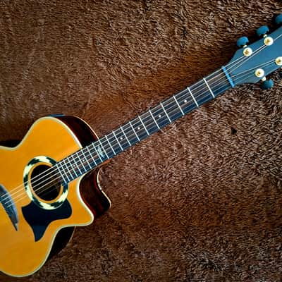 Hohner Striped Ebony Sides, Back & And Fretboard All Solid Woods Flat Top Acoustic Electric Dreadnought Steel String Guitar image 7