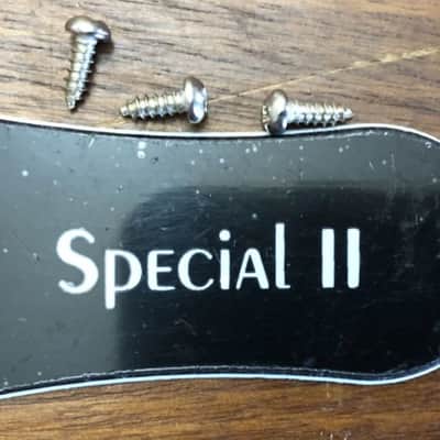 2024 Epiphone Les Paul Special II Electric Guitar Truss Rod Cover With Screws image 1