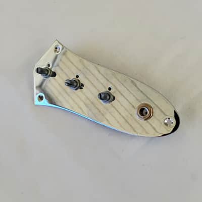 Unbranded P Bass-style Controls Cover - Loaded! Customizable 2021 - Chrome image 1