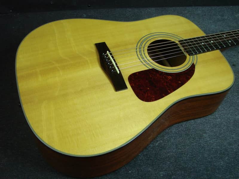 Fender DG-20S Dreadnought Acoustic Guitar W/Case DG20S | Reverb