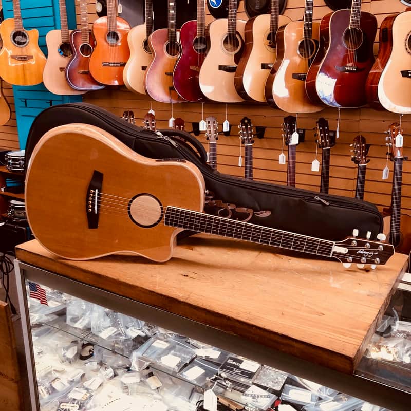 LR Baggs AEG-1 Torrefied Sitka Spruce Acoustic Electric w/Bag