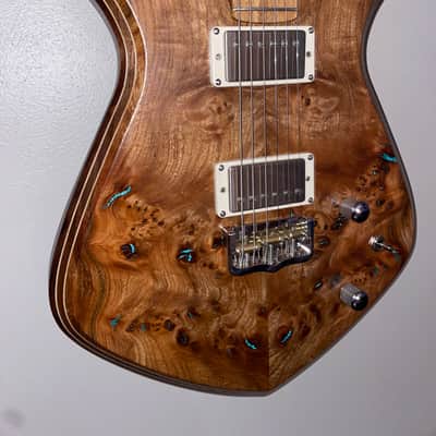 Dries Guitars- Stella 2024 image 1