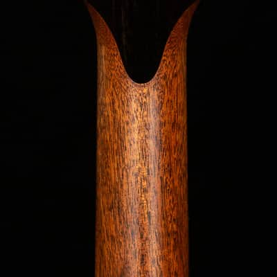 Taylor Presentation Series Grand Auditorium PS14ce Honduran Rosewood/Sinker Redwood, V-Class Bracing (077) image 6