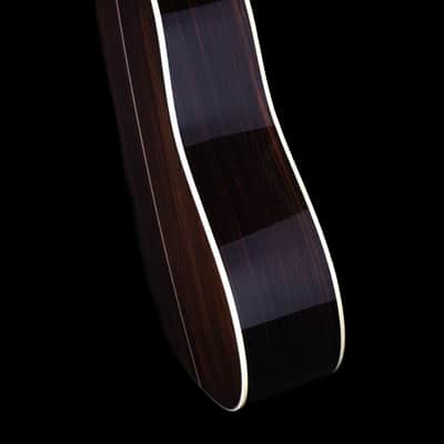 Eastman E20D-TC-LSH, Torrefied Adirondack Spruce, Indian Rosewood, Large Soundhole - NEW image 7