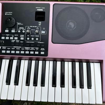 Korg Pa900 with Korg Pa1000 body kit image 4