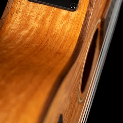 Ortega RUMG-CE Horizon Series Mango Top Okoume Neck Acoustic-Electric Concert Ukulele w/Gig Bag & Built-In Tuner image 7