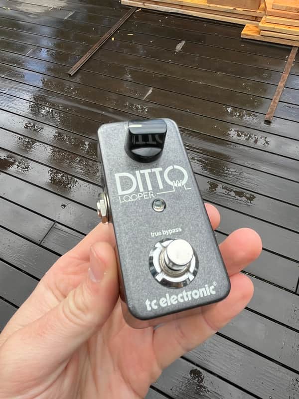 TC Electronic Ditto Looper 2013 - Present - Black image 1
