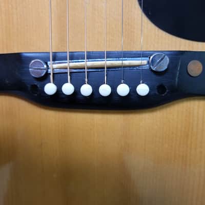 Used 1990's Harmony Korea Dreadnought Pro SEtup New Strings Original Deluxe Soft Shell Case image 4
