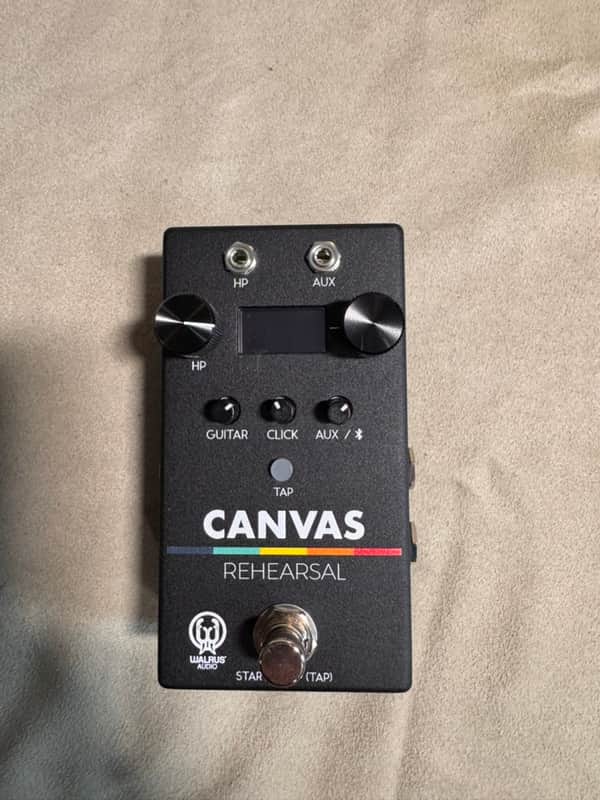 Walrus Audio Canvas Rehearsal 2025 - Present - Black | Reverb