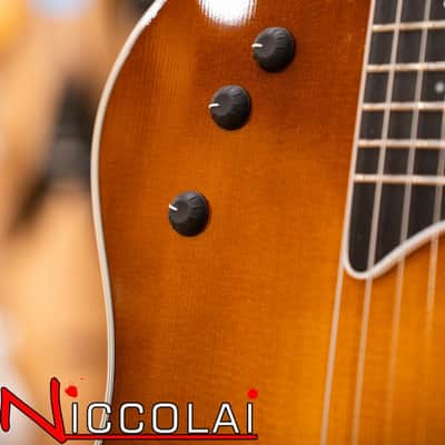 TAYLOR T5-S SUNBURST 2006 USED image 13