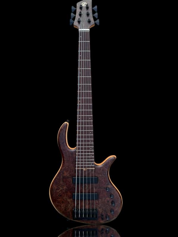 Elrick Basses Evolution Gold 6 - Burled Walnut 2024 - Satin image 1