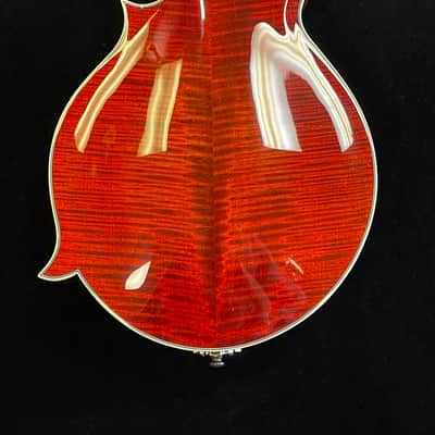 Eastman MD815 2026 - Authorized Dealer image 9