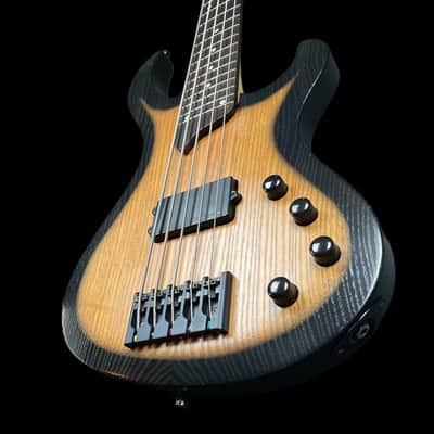 Esh Various 5 String Bass Guitar - Made in Germany w/ Piezo image 5