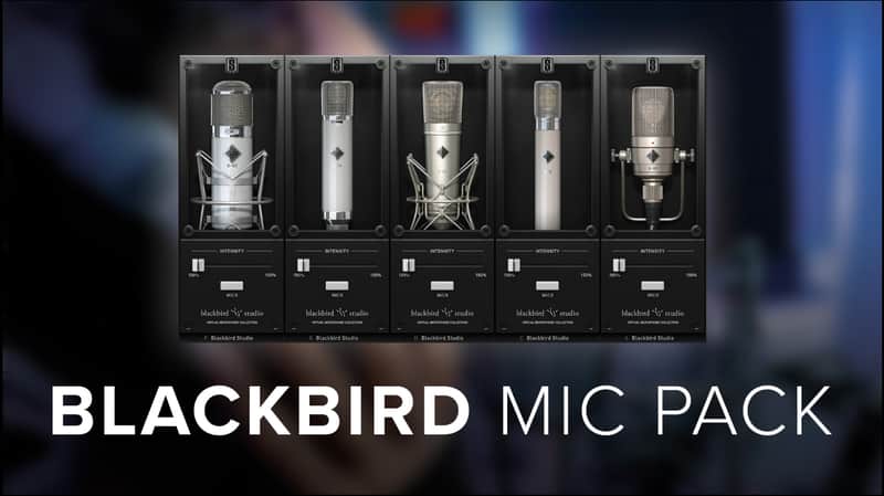Slate Digital ML-1 Blackbird Expansion Pack image 1