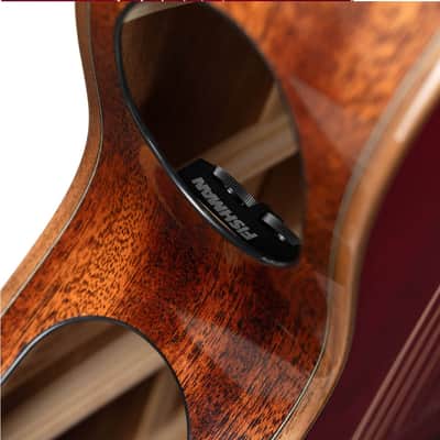 CORT MODERNBURGUNDY Masterpiece Series Dual Side Soundhole Acoustic/Electric Guitar image 9