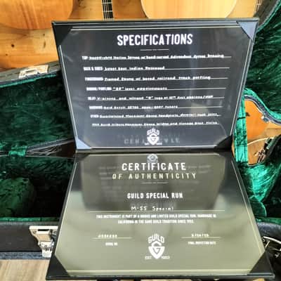 Guild M55 Special Limited Edition by Chuck Sanzone image 9