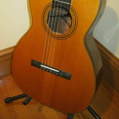 John C. Haynes Bay State Brazilian Rosewood Guitar image 2