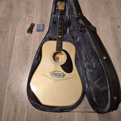 59/2008 Limited Edition Esteban Cadillac Acoustic Guitar image 1