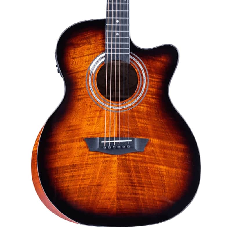 Washburn Comfort WCG12FCE image 1