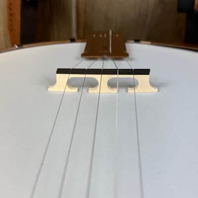 Deering Goodtime Special Banjo - Right Handed image 13