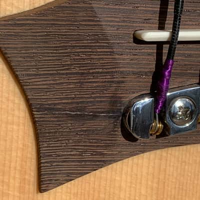 Warwick Alien 6 String Fretless Bass image 14