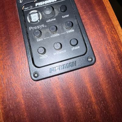 Spector Timbre 2010s - Walnut image 6