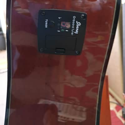 Ibanez PF10 Performance with Merbau Fretboard 2006 - Natural image 7