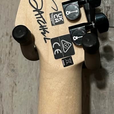 NEW Charvel Satchel Signature Pro-Mod DK22 HH FR M - White Bengal, Comes With A Pro Setup and We Ship FAST!! image 14