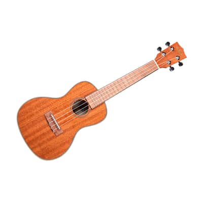 Gloss Mahogany Concert Kala image 5
