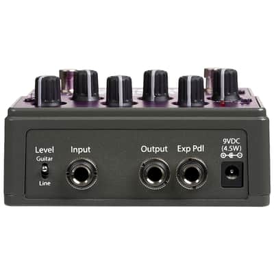 Rose Delay Eventide Bild 3