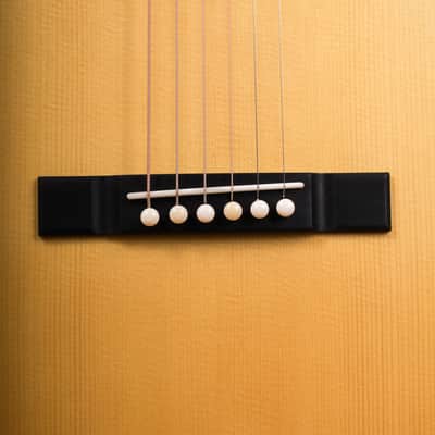 Lyon & Healy Lakeside Parlor - Indian Rosewood #001 image 4