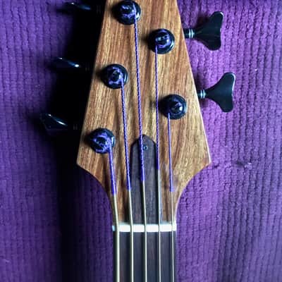 Rick Turner RB5 Fretted 2015 Gloss Renaissance Bass image 4