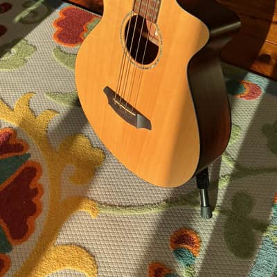 Used Breedlove ABJ250/SM4 Acoustic Bass Guitar image 7
