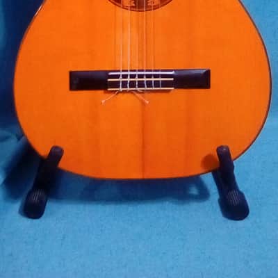 Beautiful Rare DiGiorgio Brazilian Classical Guitar Guarany C2 1979 image 2